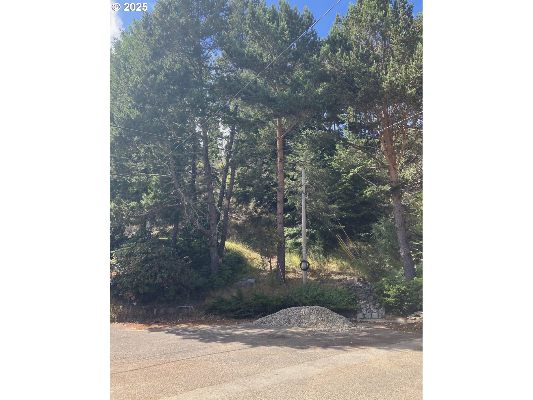 Fir ST 06800
