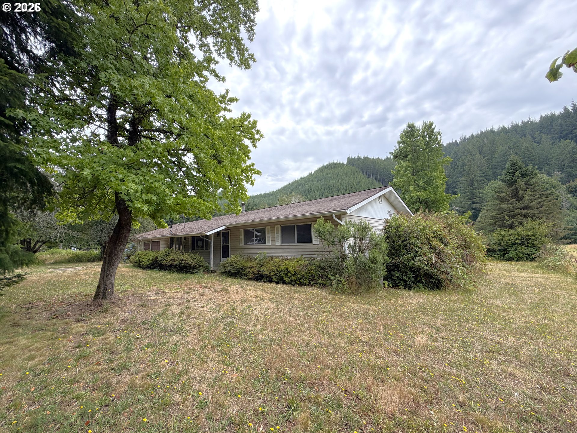 10082 LONE PINE LN
