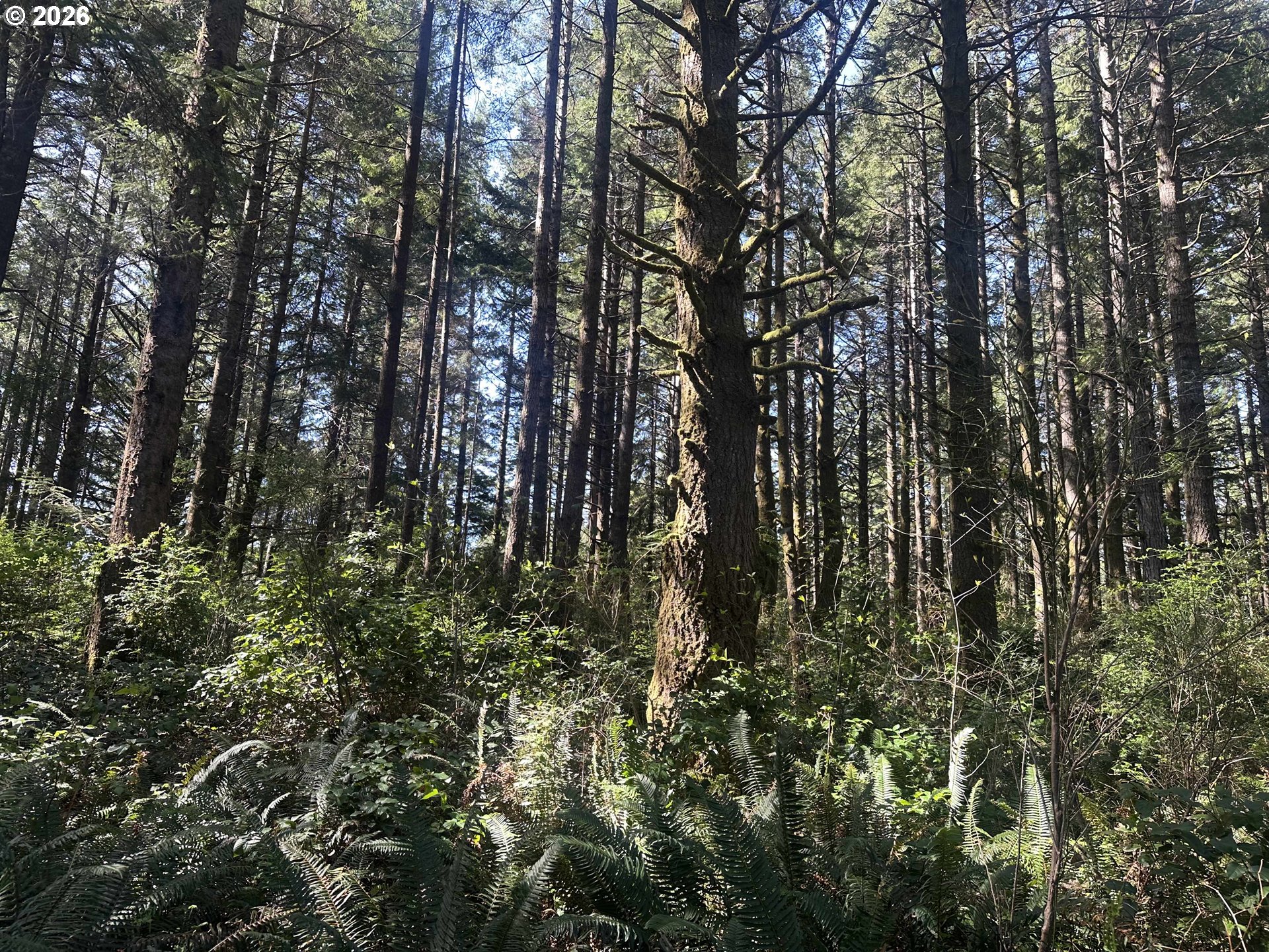 Cedar Terraces