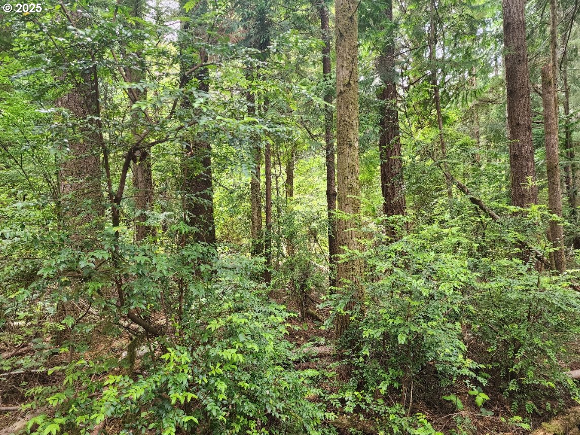 Cedar Hollow RD 2107